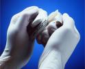Lukens Bone Wax